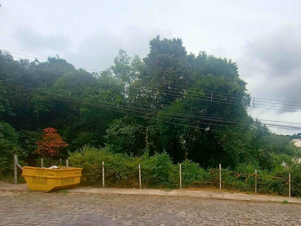 Terreno - Venda - Cidade Nova - Caxias do Sul - RS