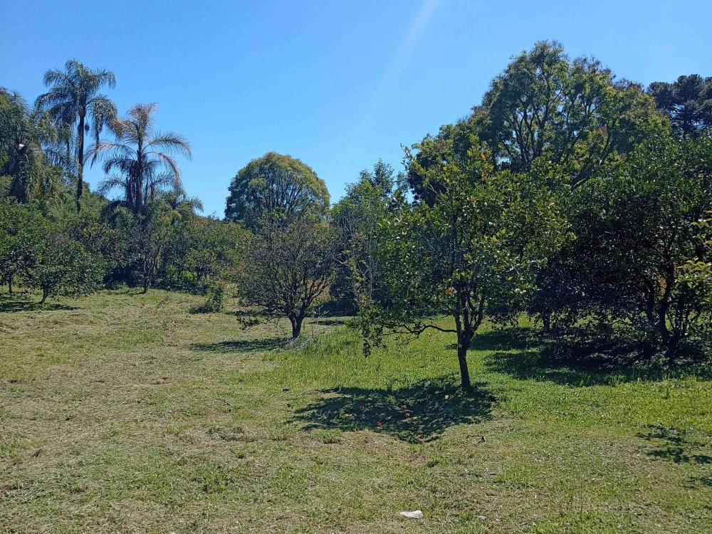 Chcara - Venda - Forqueta - Caxias do Sul - RS