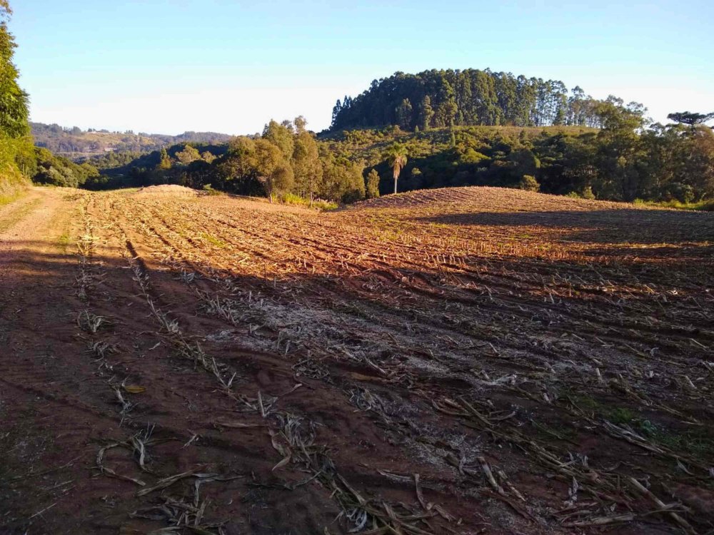 Terreno - Venda - Forqueta - Caxias do Sul - RS